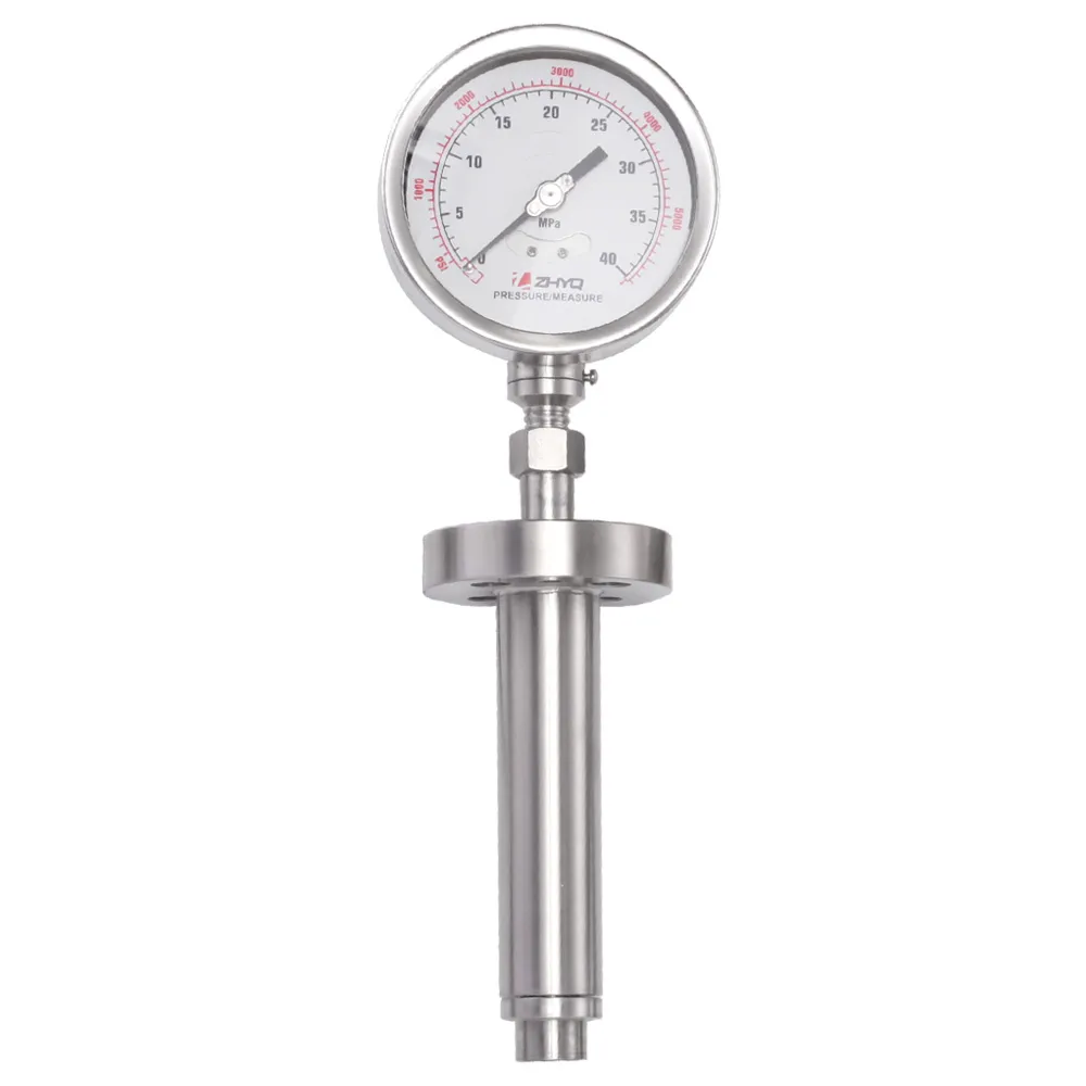 Flange Melt Pressure Gauge