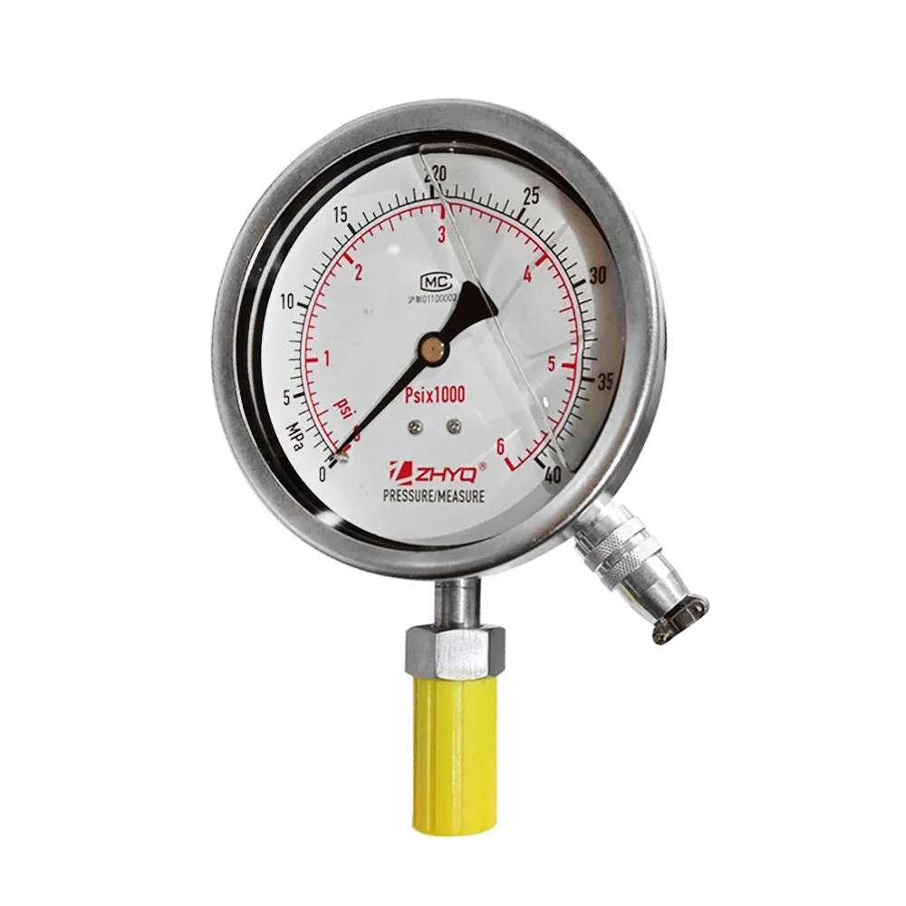 Vibration-Resistant Diaphragm Pressure Gauge with Singal Output