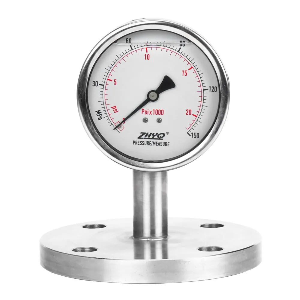 Flange Mounted Diaphragm Pressure Gauge