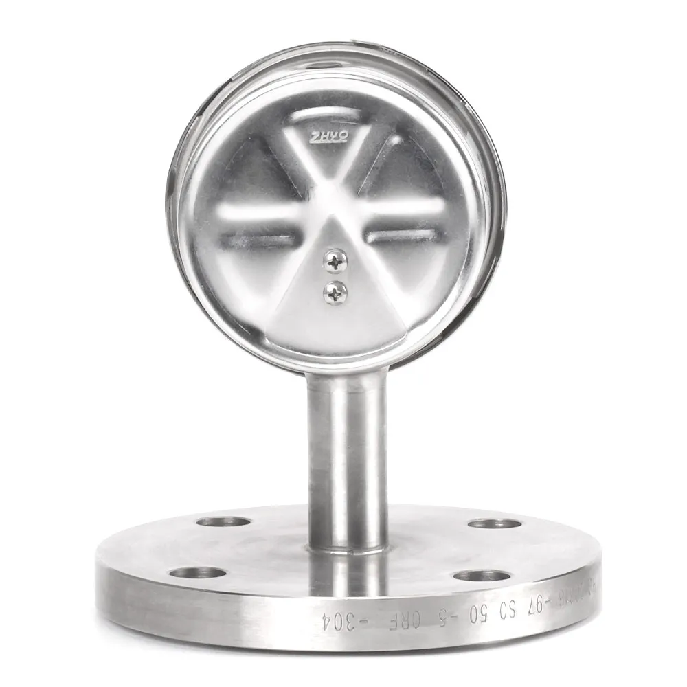 Flange Mounted Diaphragm Pressure Gauge - Image 2