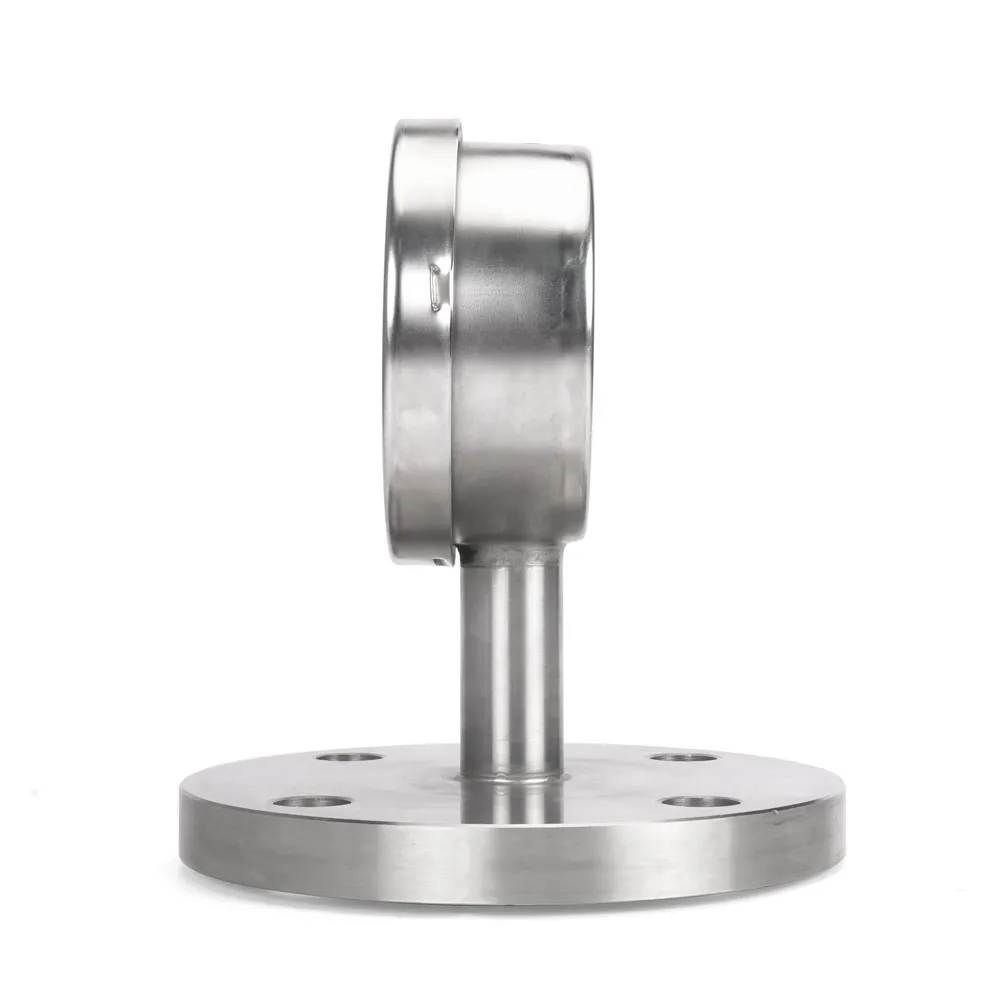 Flange Mounted Diaphragm Pressure Gauge - Image 4