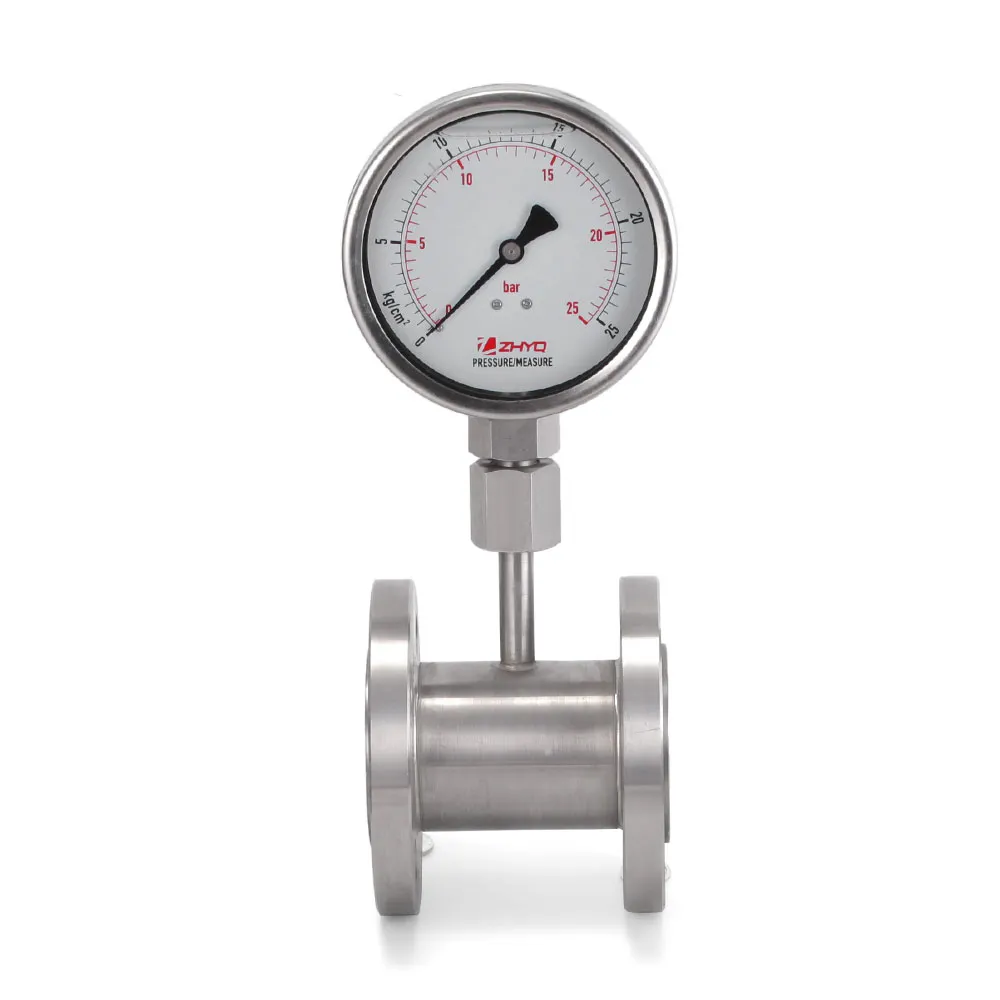 Cylinder Diaphragm Pressure Gauge with Flange Connection